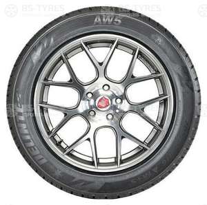 Delinte AW5 175/70 R14 88T