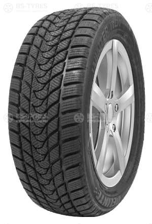 Delinte Winter WD1 205/65 R16 95T