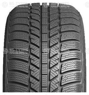 Evergreen Winter EW62 205/65 R15 94H