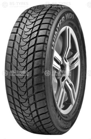 Delinte Winter WD1 205/65 R16 95T